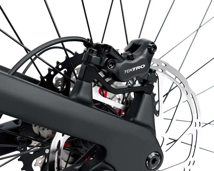 2025 CYCTRAC EM19 E-Bike