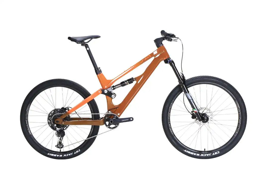 JAVA SALTAFOSSI SUS Mountain Bike