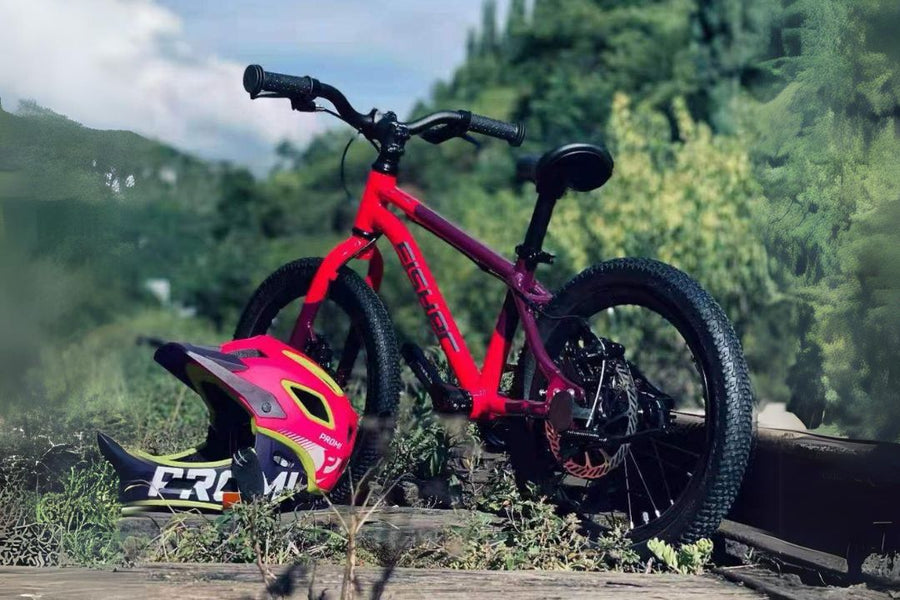 Fisher Rider 20" 9 Speed with Oil Disc Brake Kids Bike