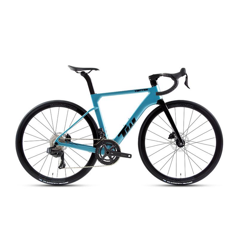 2024 Twitter R15 Pro Carbon Road Bike - Alloy Wheels