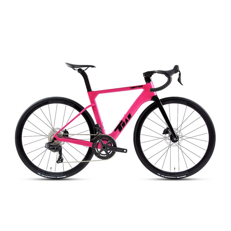 2024 Twitter R15 Pro Carbon Road Bike - Alloy Wheels
