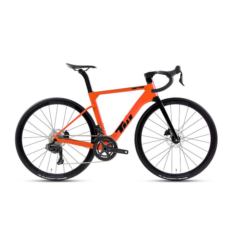 2024 Twitter R15 Pro Carbon Road Bike - Alloy Wheels