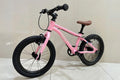 Fisher Rider 20" V-Brake with Belt Drive Kids Bike