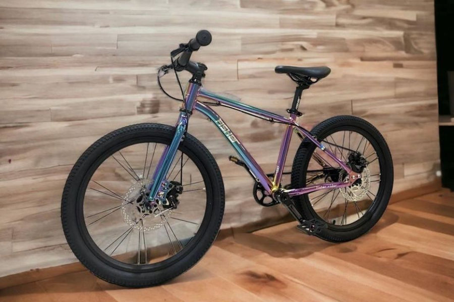 Fisher Rider 20" Painted Disc Brake Kids Bike