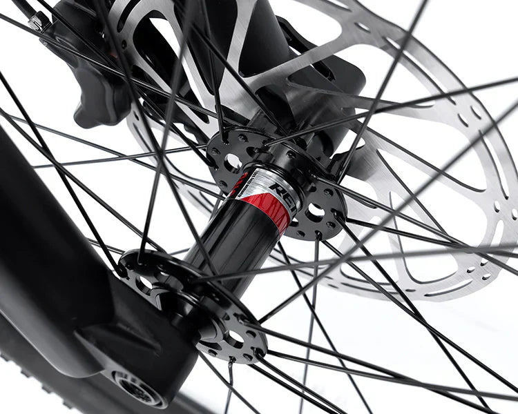 2025 CYCTRAC EM19 E-Bike