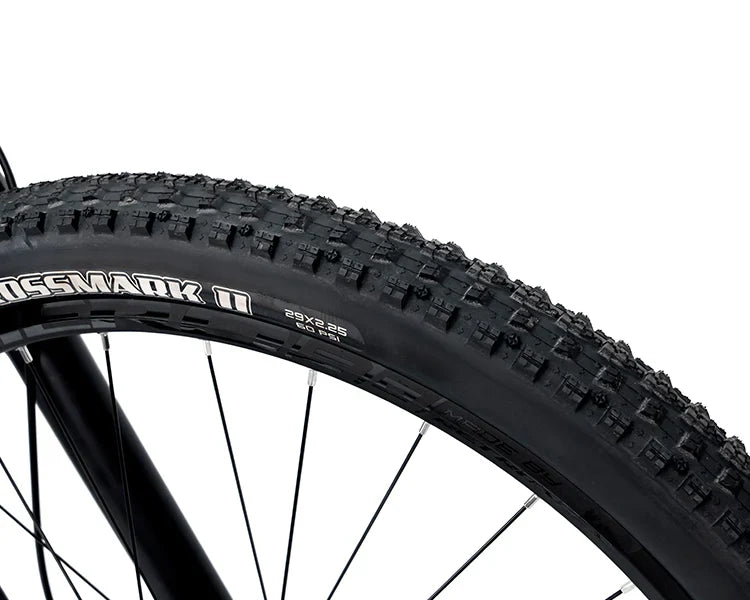 2025 CYCTRAC EM19 E-Bike