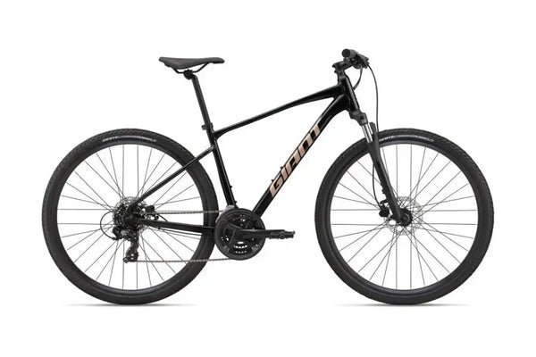 GIANT 2022 ROAM 4 DISC MOUNTAIN BIKE