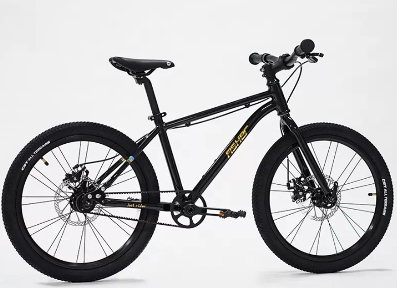 Fisher Rider 20" Painted Disc Brake Kids Bike