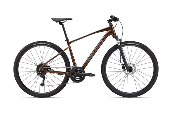 GIANT 2022 ROAM 2 DISC MOUNTAIN BIKE