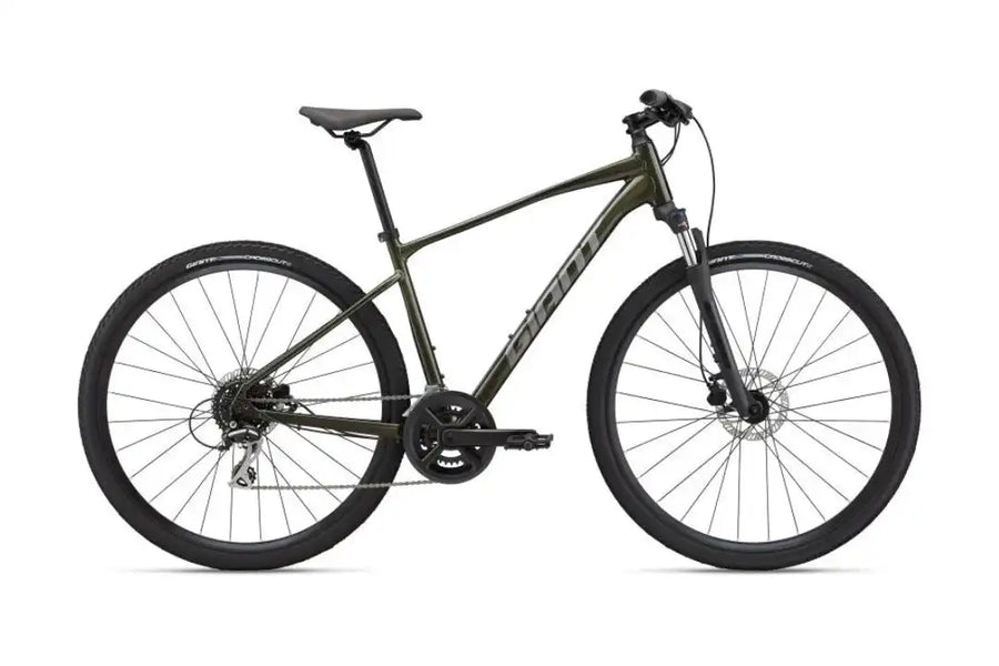 GIANT 2022 ROAM 3 DISC MOUNTAIN BIKE