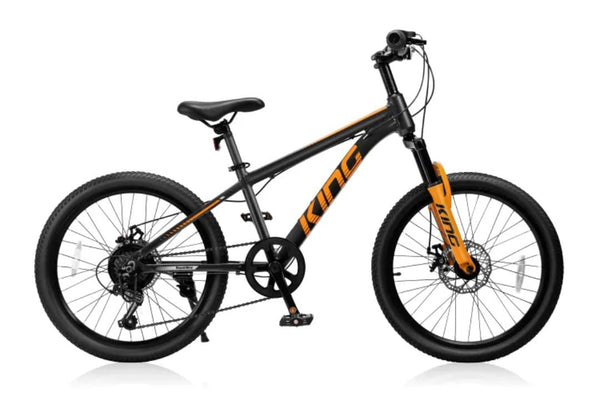 ROYAL BABY RB24-29 KING Aluminum alloy 21-speed front suspension mountain climbing bike - 24