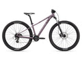 LIV 2022 TEMPT 3 mountain bike