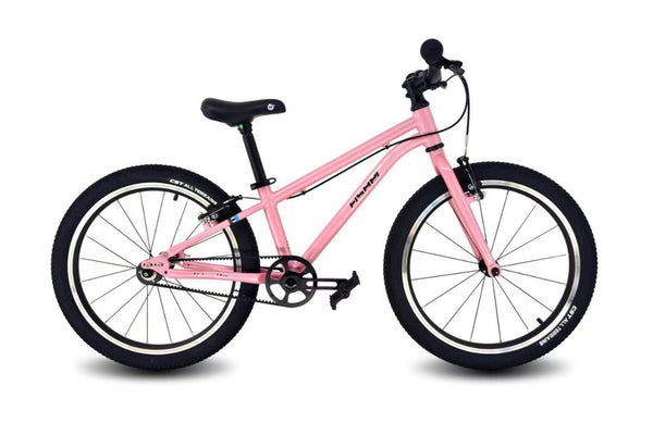 Fisher Rider 20" V-Brake with Belt Drive Kids Bike
