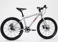 Fisher Rider 20" Painted Disc Brake Kids Bike