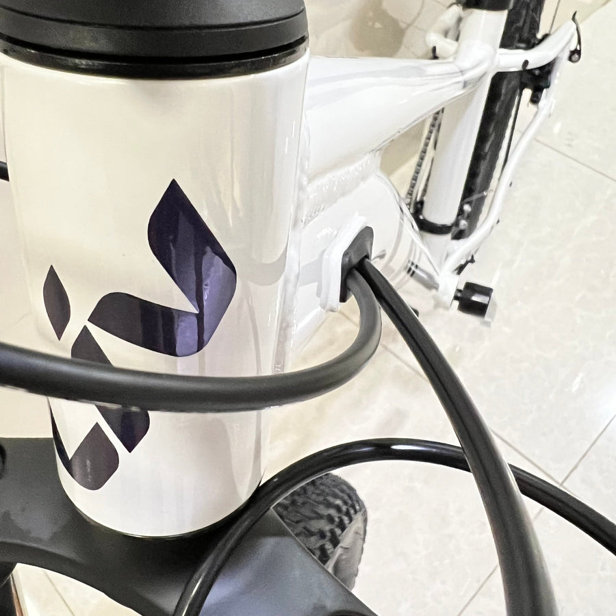 LIV 2022 TEMPT 3 mountain bike