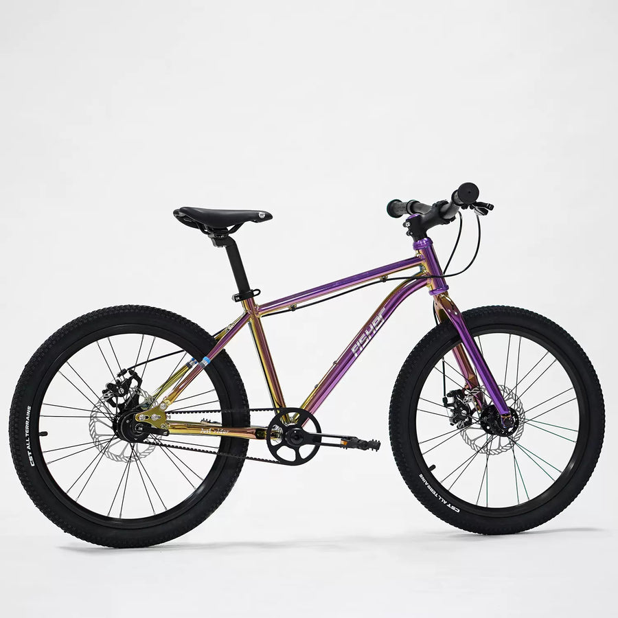 Fisher Rider 20" Painted Disc Brake Kids Bike