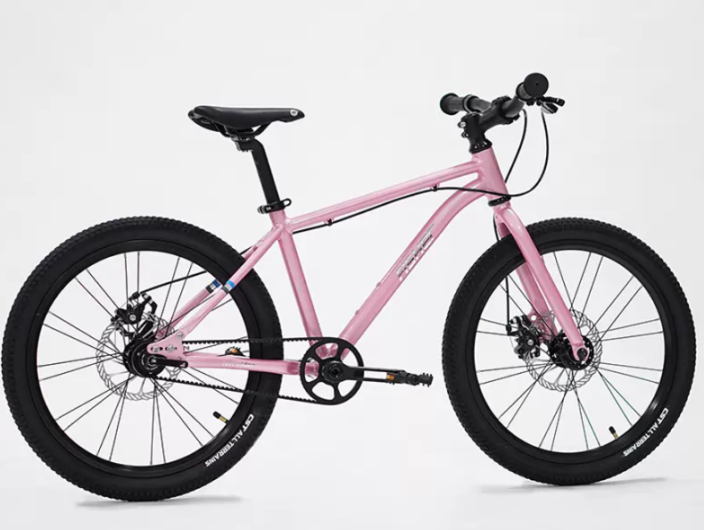 Fisher Rider 20" Painted Disc Brake Kids Bike