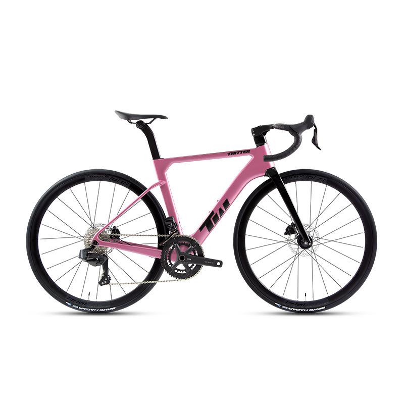 2024 Twitter R15 Pro Carbon Road Bike - Alloy Wheels